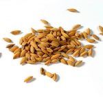 Health benefits of Barley in baby food