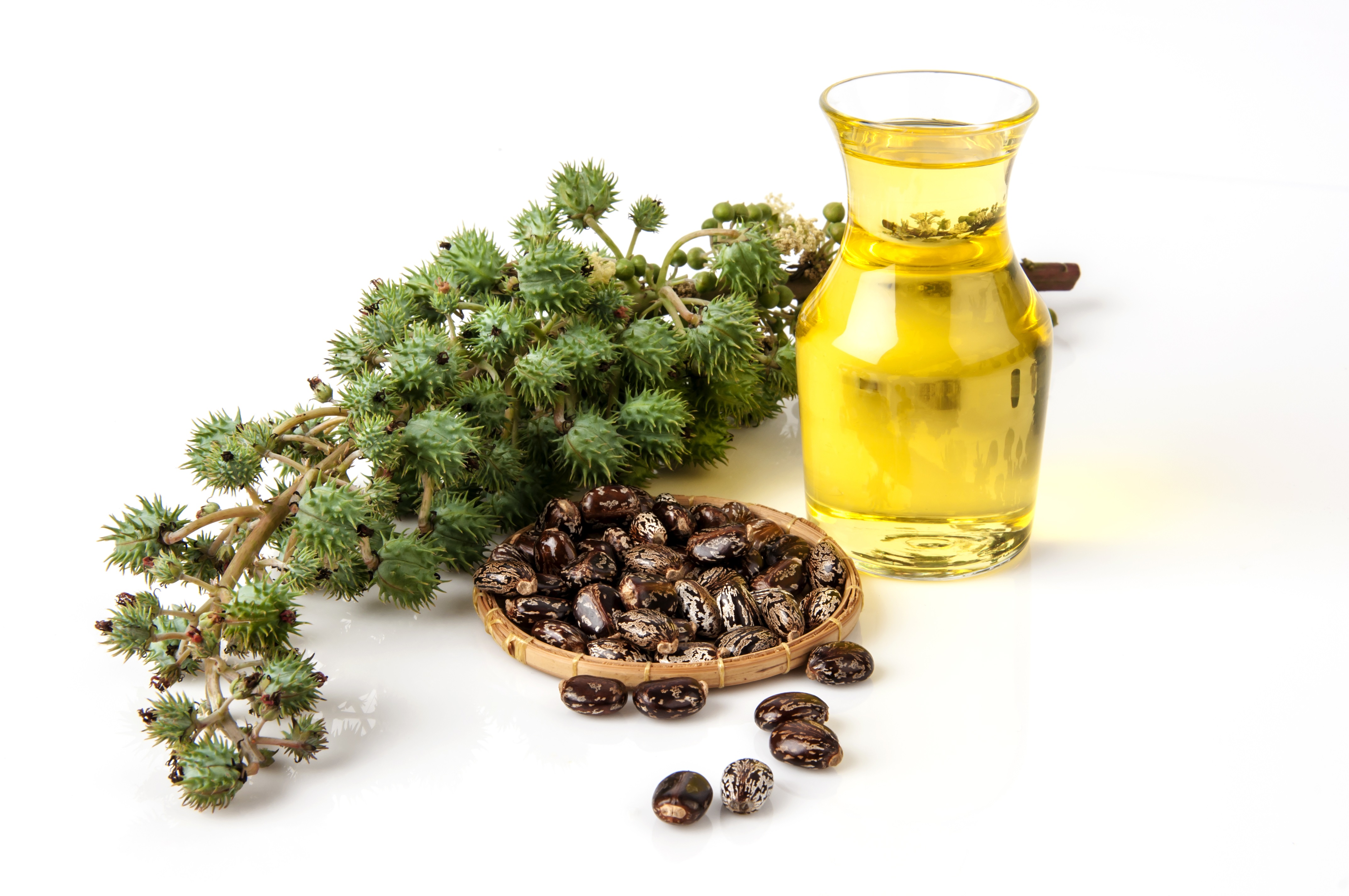 Health Benefits of Castor Oil for Babies