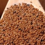 Health Benefits of Teff