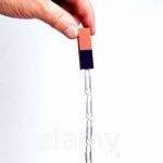 Magnet Paperclip