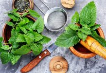 easy lemon balm recipes