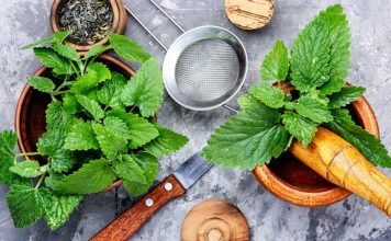 easy lemon balm recipes