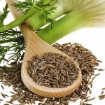 Fennel Grass and Seeds