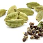 Cardamom