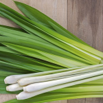 health benefits of lemongrass