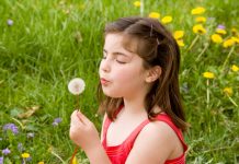 dandelion benefits for infants