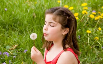 dandelion benefits for infants