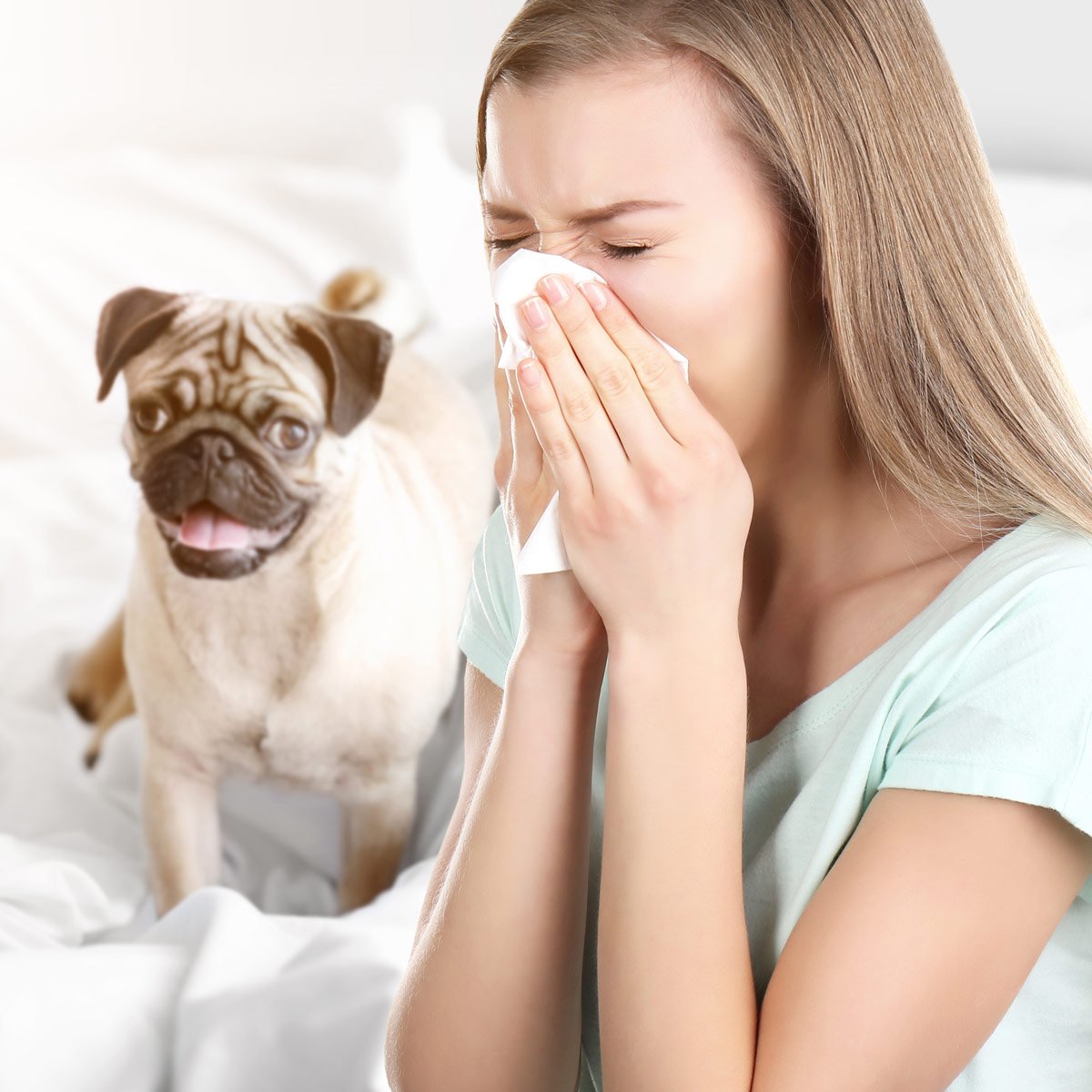 11 Ways to Reduce Pet Allergies at Home