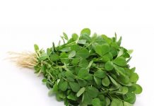 Health Benefits of Purslane for Children