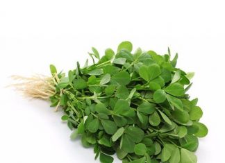 Health Benefits of Purslane for Children