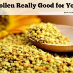 Is Bee Pollen Really Good for Your Kid?