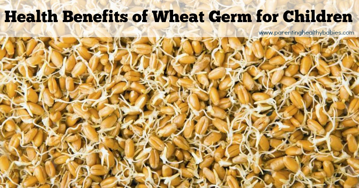 Health Benefits of Wheat Germ for Children