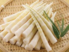 About Bamboo Shoots
