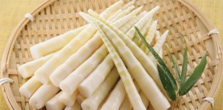 About Bamboo Shoots