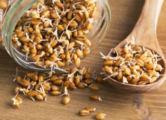 Health Benefits of Wheat Germ for Children