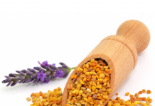 bee pollen for babies