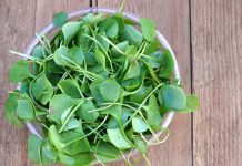 Health Benefits of Watercress for Children