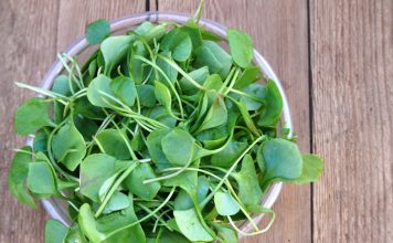 Health Benefits of Watercress for Children
