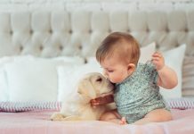 benefits of having a pet