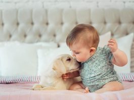 benefits of having a pet