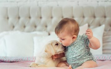 benefits of having a pet