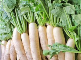 daikon and childs health