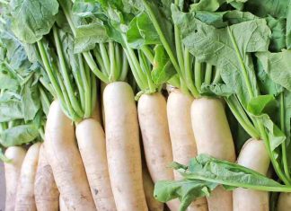 daikon and childs health