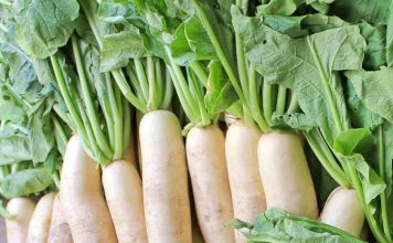 daikon and childs health