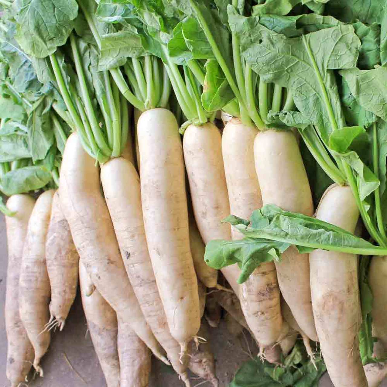 health-benefits-of-daikon-for-children