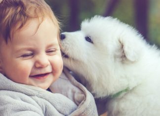 harmony of babies and furbabies