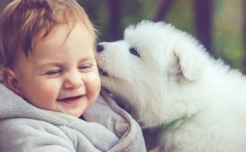 harmony of babies and furbabies