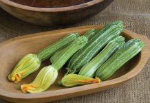 benefits of marrow vegetable