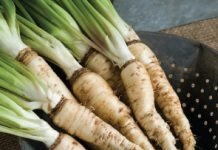 salsify benefits for kids