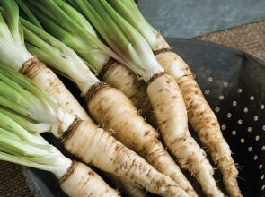 salsify benefits for kids