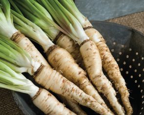 salsify benefits for kids