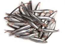 Health Benefits of Anchovies For Children