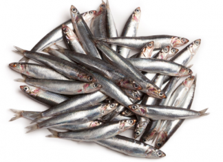 Health Benefits of Anchovies For Children