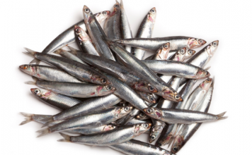 Health Benefits of Anchovies For Children