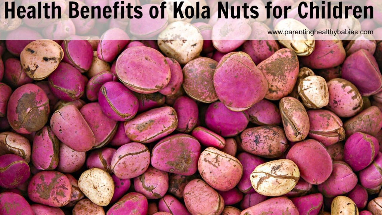 Bitter Kola And Ovulation Bitter Kola The Health Benefits For Diabetes