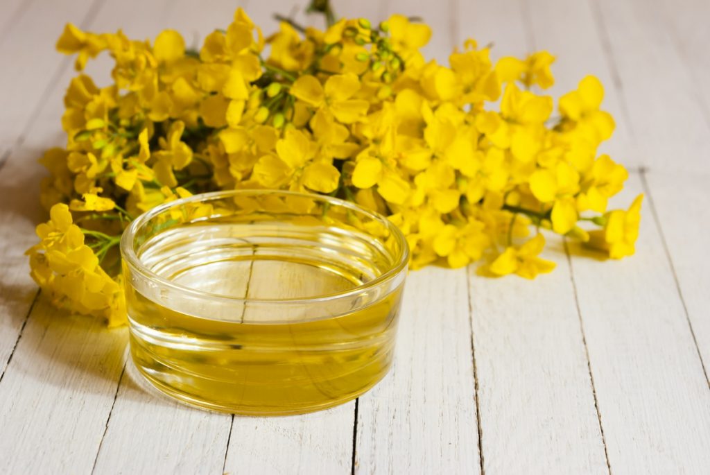 7 Health Benefits of Rapeseed Oil for Children