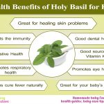 Health Benefits of Holy Basil for Kids