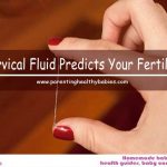 How Cervical Fluid predicts your fertile days?