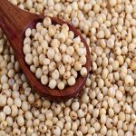 health benefits of sorghum in your baby’s diet