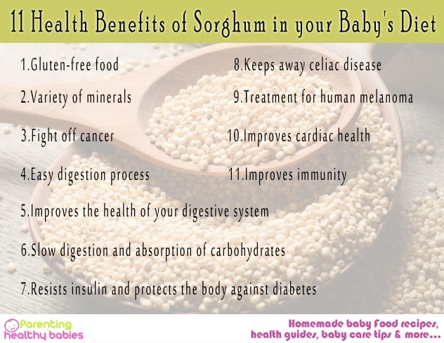 sorghum baby diet