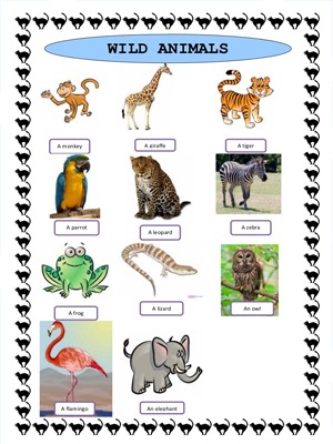 Animal name game
