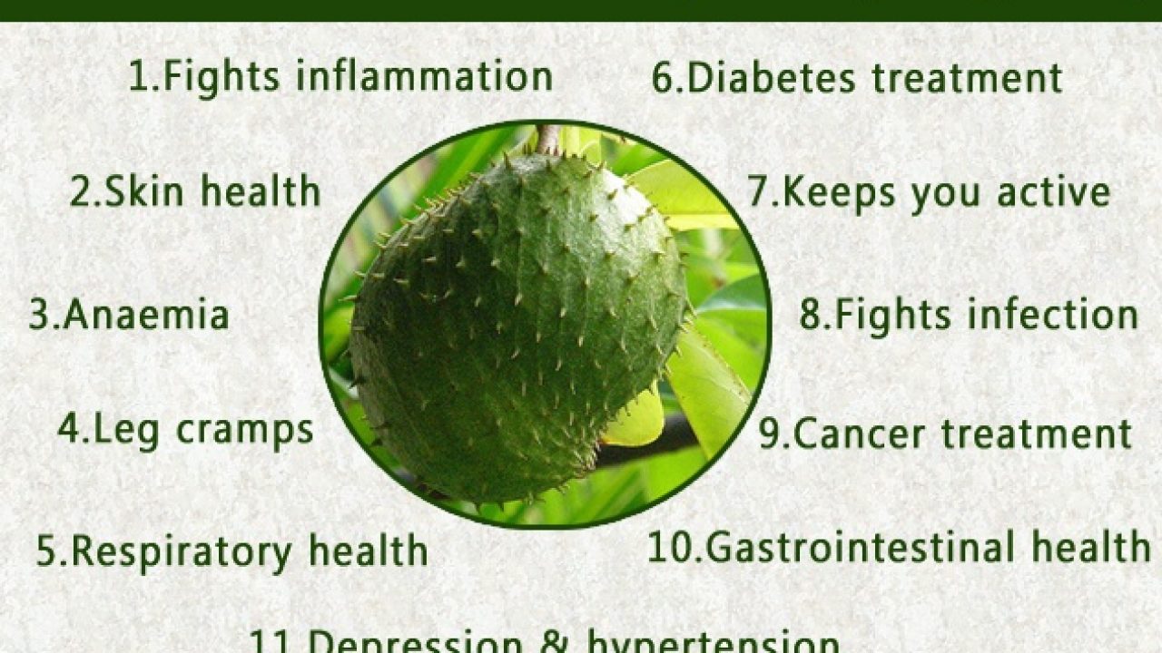 11 Amazing Health Benefits Of Soursop During Pregnancy