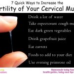 7 Quick ways to increase the fertility of your cervical mucus