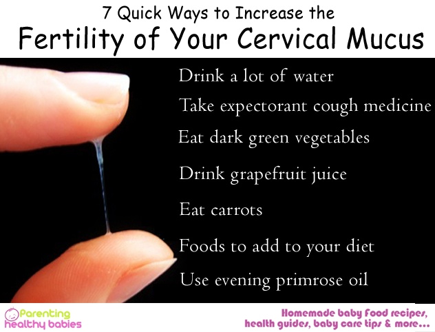 Cervical Mucus