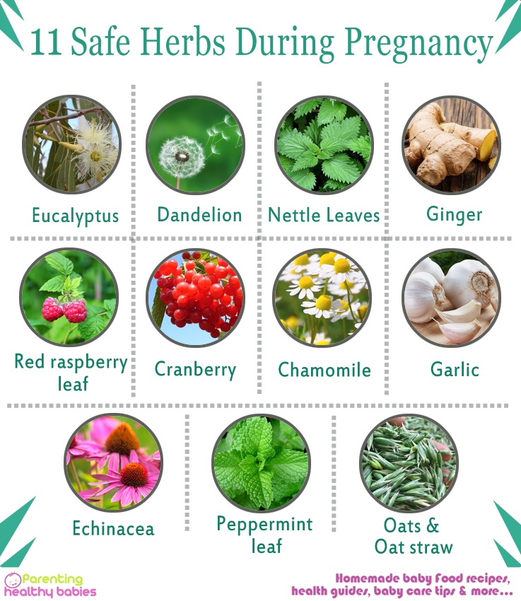pregnancy herbs