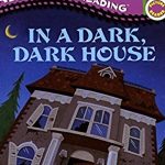 In a Dark, Dark House